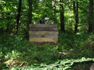 Paintball 015